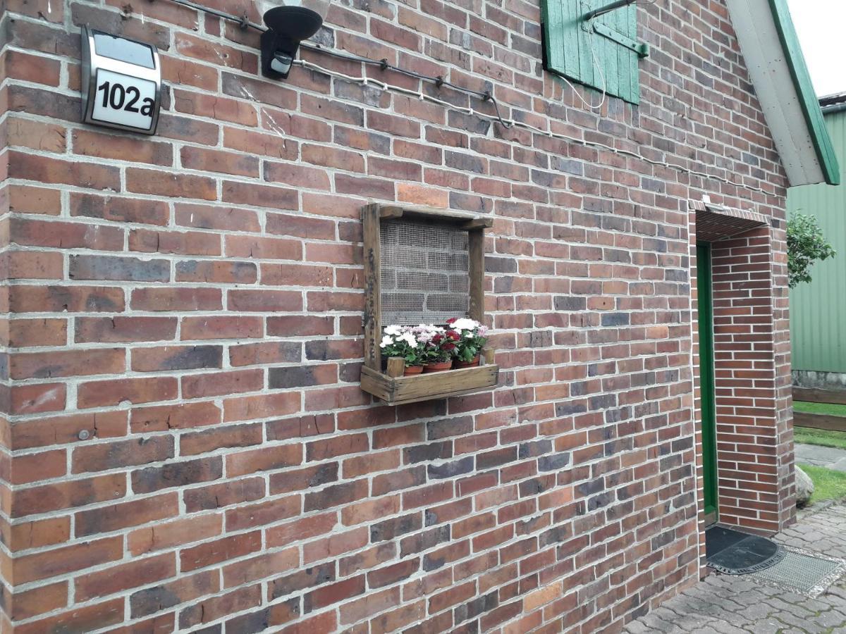 Gemuetliches Haeuschen Im Alten Land Jork Exteriör bild