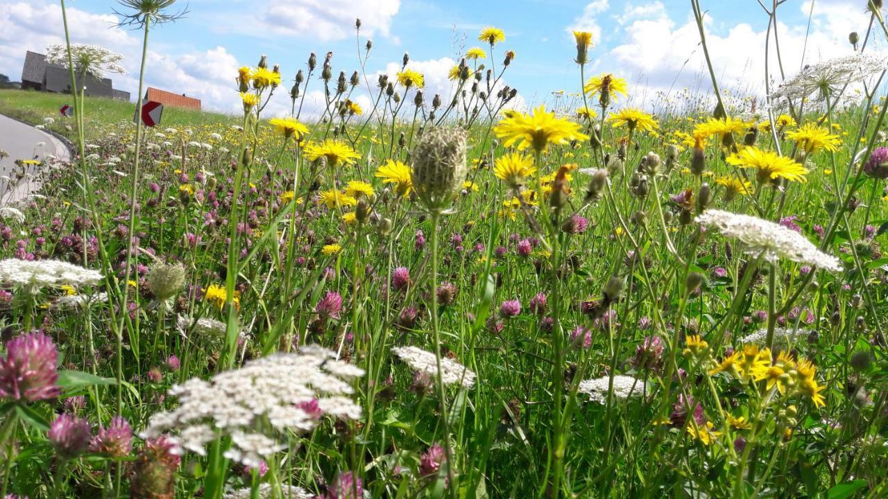 Gemuetliches Haeuschen Im Alten Land Jork Exteriör bild