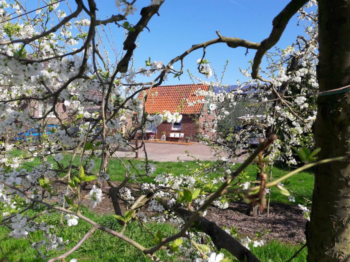 Gemuetliches Haeuschen Im Alten Land Jork Exteriör bild