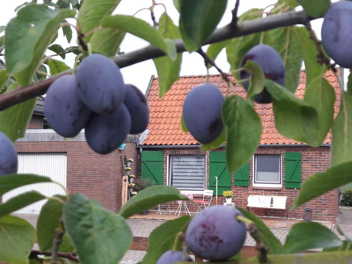 Gemuetliches Haeuschen Im Alten Land Jork Exteriör bild